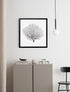 natural black sea fan coral gorgorian from peek a blue